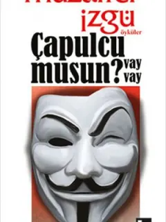 Çapulcu musun Vay Vay?