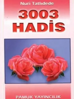 3003 Hadis (Hadis-002/P17)