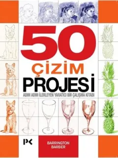 50 Çizim Projesi