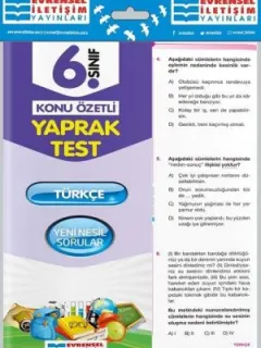 6.Sınıf Türkçe Konu Özetli Yaprak Test