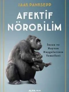 Afektif Nörobilim