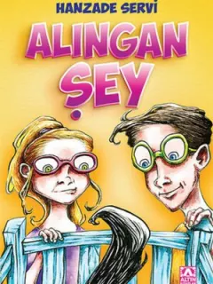 Alıngan Şey