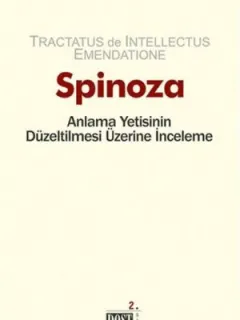 Anlama Yetisinin Düzeltilmesi Üzerine İnceleme