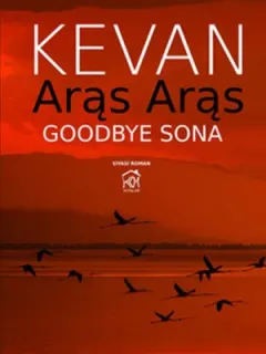 Aras Aras Goodbye Sona