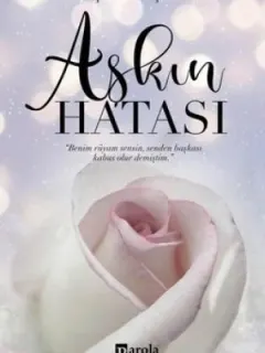Aşkın Hatası