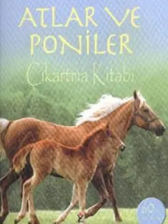 Atlar ve Poniler Çıkartma Kitabı