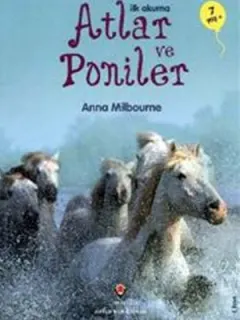 Atlar ve Poniler - İlk Okuma