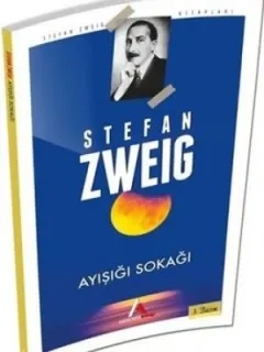 Ayışığı Sokağı-Stefan Zweig Kitaplığı