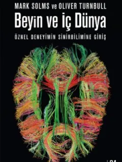 Beyin ve İç Dünya
