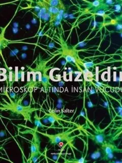 Bilim Güzeldir-Mikroskop Altında İnsan Vücudu