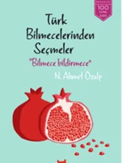 Bilmece Bildirmece