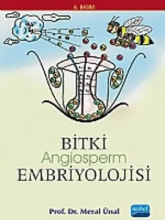 Bitki Angiosperm Embriyolojisi