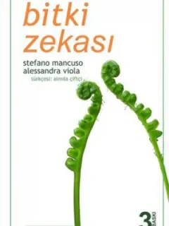 Bitki Zekası