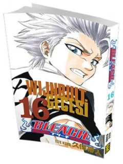 Bleach 16. Cilt - Wijnruit Gecesi