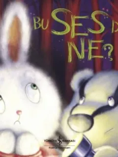 Bu Ses de Ne?
