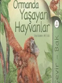 Çevir Bak Ormanda Yaşayan Hayvanlar