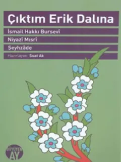 Çıktım Erik Dalına