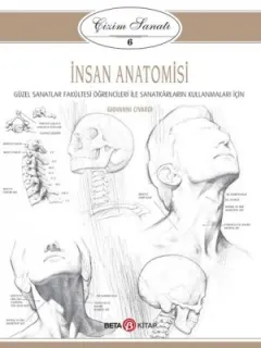 Çizim Sanatı 6-İnsan Anatomisi
