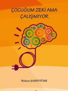 Çocuğum Zeki Ama Çalışmıyor