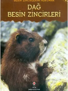 Dağ Besin Zincirleri