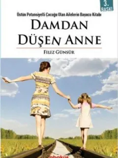 Damdan Düşen Anne