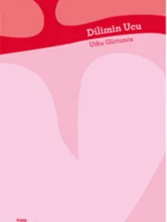 Dilimin Ucu