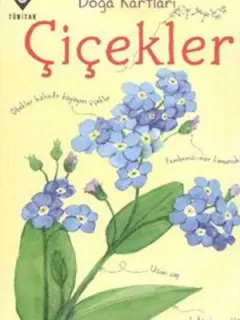 Doğa Kartları - Çiçekler