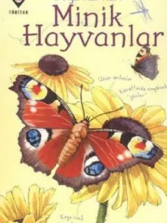 Doğa Kartları - Minik Hayvanlar