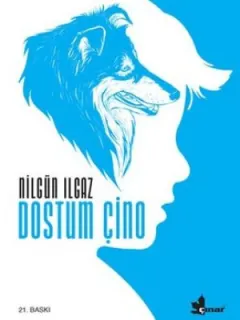 Dostum Çino