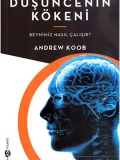 Düşüncenin Kökeni - Beynimiz Nasıl Çalışır?