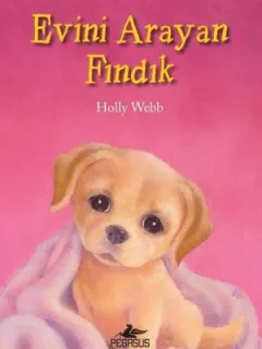 Evini Arayan Fındık