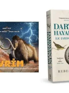 Evrim Seti-1 Oyun 1 Kitap