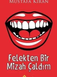 Felekten Bir Mizah Çaldım