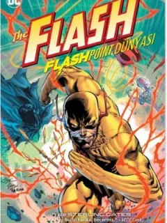 Flash Flashpoint Dünyası