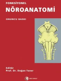 Fonksiyonel Nöroanatomi