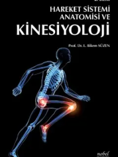 Hareket Sistemi Anatomisi ve Kinesiyoloji