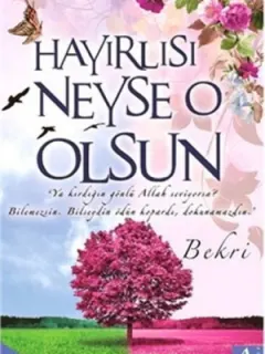 Hayırlısı Neyse O Olsun