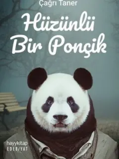 Hüzünlü Bir Ponçik