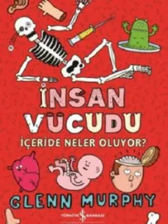 İnsan Vücudu-İçeride Neler Oluyor?