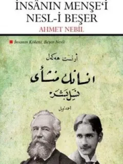 İnsanın Kökeni, Beşer Nesli