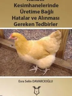 Kanatlı Kesimhanelerinde  Üretime Bağlı Hatalar ve Alınması Gereken Tedbirler