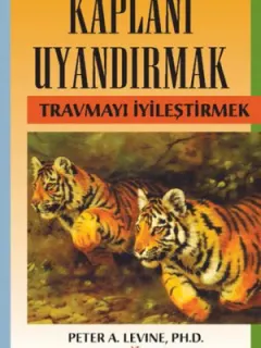 Kaplanı Uyandırmak