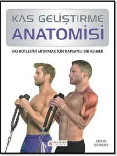 Kas Geliştirme Anatomisi