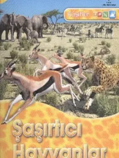 Kaşifler Şaşırtıcı Hayvanlar