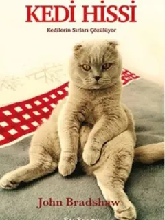 Kedi Hissi