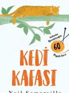 Kedi Kafası