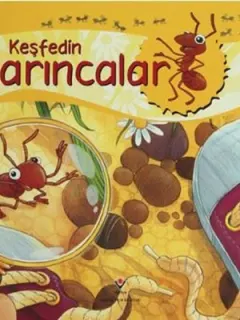 Keşfedin Karıncalar
