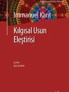 Kılgısal Usun Eleştirisi