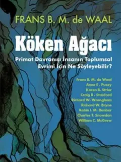 Köken Ağacı