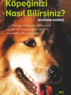 Köpeğinizi Nasıl Bilirsiniz?